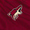 NHL Arizona Coyotes Home Jersey Steam Deck Handheld Gaming Computer Skin